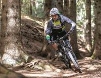 Mountainbiken auf Forststraßen: Wohin geht der Trend? / Bild: Erwin Haiden