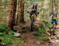 MTB-Region Bad Kleinkirchheim: Almrausch mit Nocken / Bild: BRM Mathias Praegant / Bad Kleinkirchheim