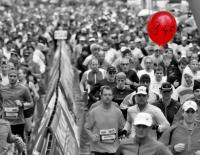Jobbeschreibung Pacemaker: Von Tempomachern und Bremsläufern / Bild: Graz Marathon / GEPA Pictures