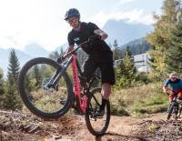 Peter Sagan / Bild: EXPA / Johann Groder