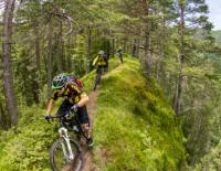 Petzen Trail Park: Wo der Flow zu Hause ist / Bild: Tourismusregion Klopeiner See - Südkärnten