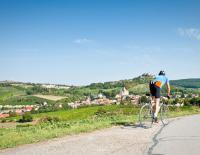 Bild: KK © Bild: KK Radklassiker Weinviertel