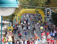 Rekord pulverisiert Grandioser Wachaumarathon