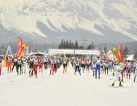 Rekordergebnis beim Ganghoferlauf