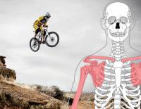 Rippenprellung beim Sport: Symptome, Dauer und Heilung / Bild: KK