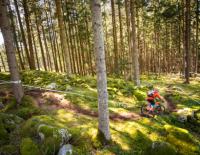 Mountainbiken in der Region Kronplatz / Bild: TVB Kronplatz / Harald Wisthaler