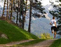 Salomon Highlights 2011