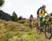 Abfahren will gelernt sein: Singletrailfahren für Mountainbiker im Selbstversuch / Bild: Thomas Polzer / SPORTaktiv