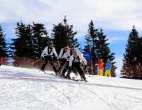 Stuhleck Skiopening von 15. bis 17. Dezember: Drei Tage Skifest mit prominenten Gästen / Bild: Conny