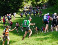 24 Stunden Wanderung: Rund um die Uhr / Bild: 24-Stunden Wanderung