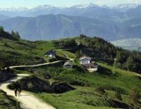 Wandern in den Tiroler Alpen: Zwischen Adlerweg und Tropfsteinhöhle / Bild: Hannes Dabernig
