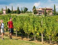 Alpe-Adria-Trail / Bild: Friaul Julisch Venetien Tourismus Wandern Meer Alpen Adria Wanderung