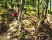 Flow Country Trail: Das Mountainbikeparadies auf der Petzen / Bild: Flow Country Trail