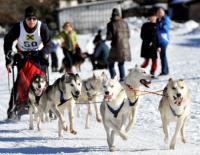 Scharnitz ist Austragungsort der Schlittenhunde Weltmeisterschaft 2015 / Bild: Holzknecht