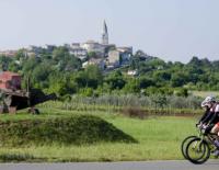 Tourentipp für Radsportbegeisterte: Sidestep nach Istrien / Bild: Tourismus