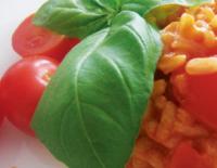 Rezepte Sport Sommer Ernährung
