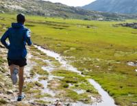 Trailrunning: Läuft ein Städter auf den Berg / Bild: Salomon