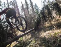 Mountainbike Tutorial: So lernst du den Bunny Hop / Bild: Thomas Schweighofer Tutorial Anleitung MTB Bunny Hop lernen
