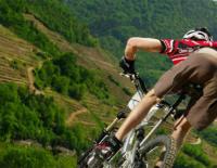 Bild: Wein Stein Bike(c) Buero