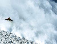Bild: Shutterstock / Andrew Arseev