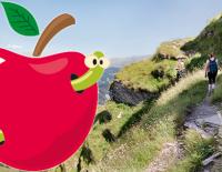Gedanken von Kletterprofi Herbert Ranggetiner: Zurück zur Natur!? / Bild: iStock / OtmarW / mhatzapa