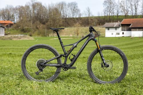 stumpjumper fabio wibmer