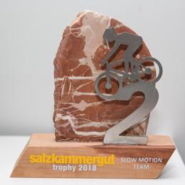 2. Platz für das „Dowe SPORTaktiv Leserteam“ in der Slow-Motion-Wertung der 21. Salzkammergut Trophy