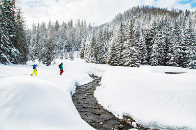 Top 20 Winteralternativen