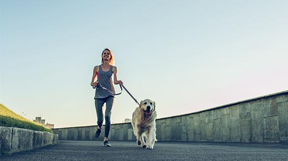 Laufen mit Hund