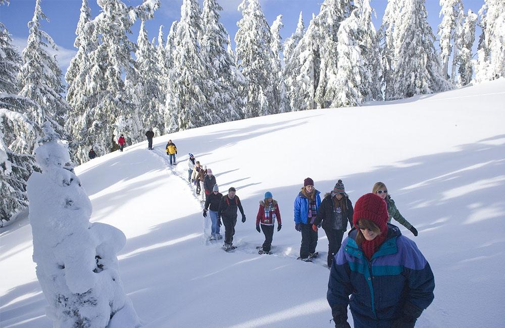 trend schneeschuhwandern