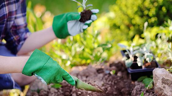 Keine Zeit für Sport? Diese 7 Gartenarbeiten gehen deinem Fett an den Kragen