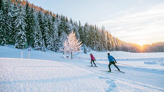 Den besten Loipen auf der Spur: Sechs Langlauf-Destinationen unter der Lupe