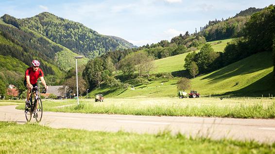 Warum wir uns aufs Rennradfahren im Frühling freuen …