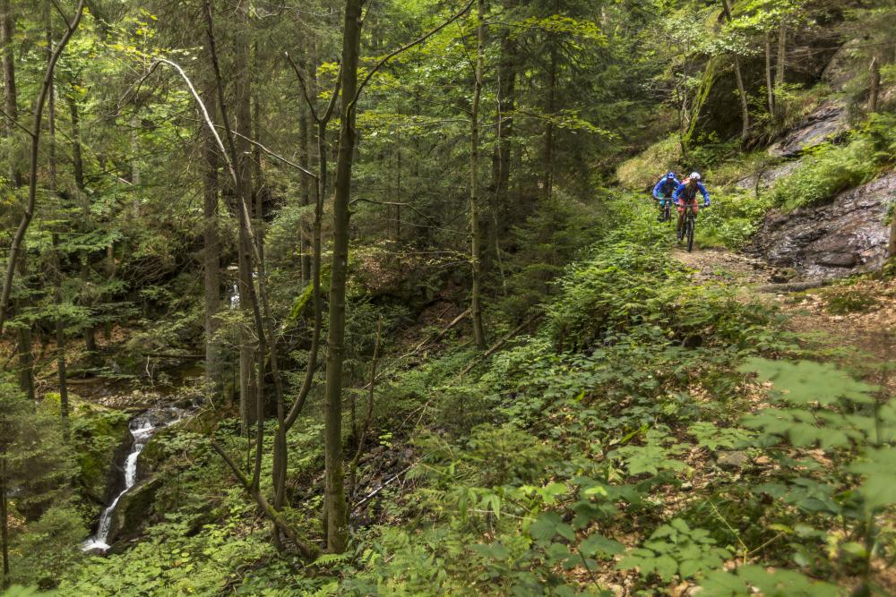 ARBERLAND-Runde I Bayrischer Wald