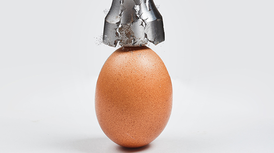 Zum Dotter nochmal: 5 lustige Fakten über Eier, die du wissen solltest