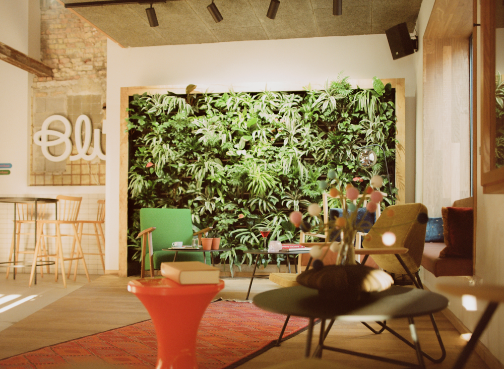 Hotel Blü: Aufblü(h)en im Winter