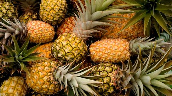 Königin der Früchte: 5 Fakten zur Ananas