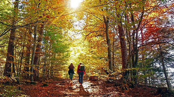 Die 5 besten Outdoor-Sportarten für den Herbst