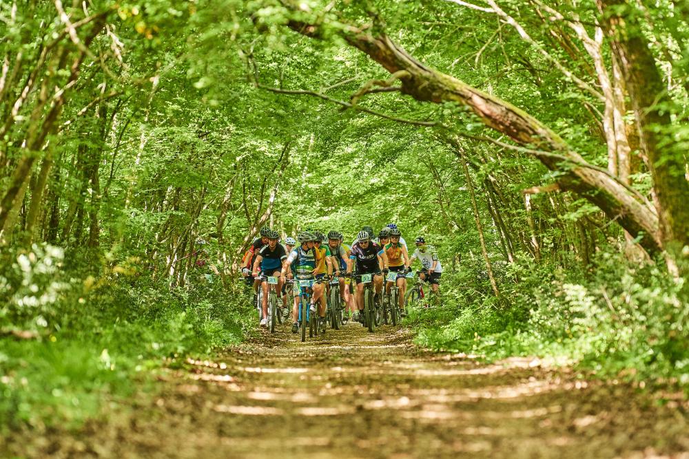 Auf die Plätze, fertig, los … zu den Outdoor-Events in Istrien!