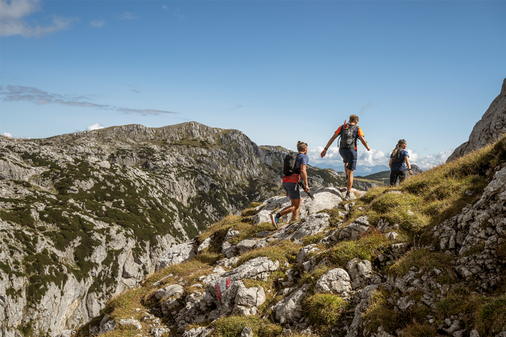 #makeitcount Löffler