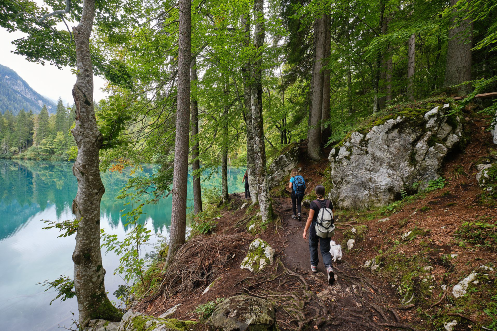 Gemütliche Outdoor-Kulinarik-Kombi in Friaul