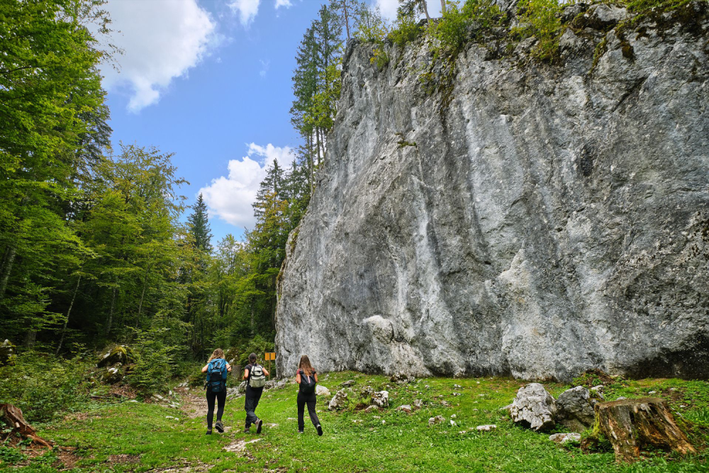 Gemütliche Outdoor-Kulinarik-Kombi in Friaul