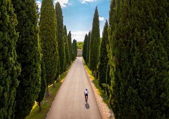 Die beste Zeit für Biker: Was mit Gravel, Rennrad, MTB und Tourenrad jetzt besonders wichtig ist