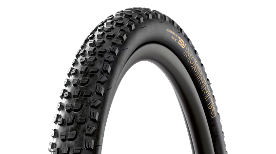 BONTRAGER Gunnison RSL XT TLR