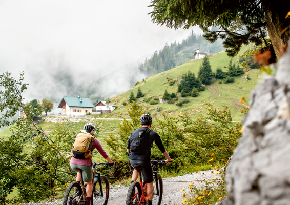 Die beste Zeit für Biker: Was mit Gravel, Rennrad, MTB und Tourenrad jetzt besonders wichtig ist