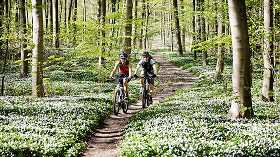 4 gute Gründe, warum du jeden Tag radfahren solltest