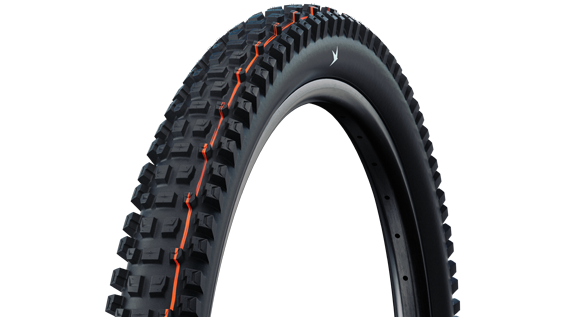 SCHWALBE Albert
