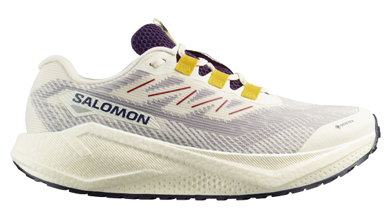 SALOMON Aero Blaze 4 Grvl GTX