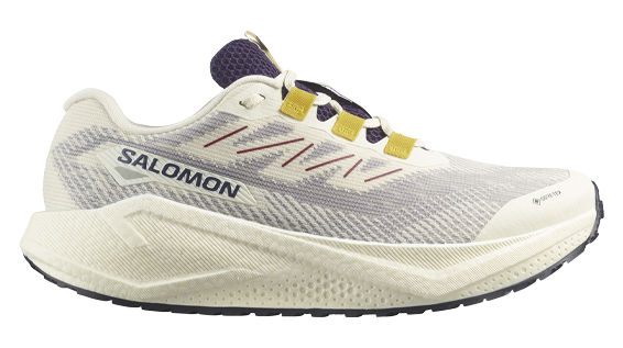 SALOMON Aero Blaze 3 GRVL GTX