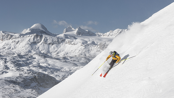 Top 20 Freeride-Regionen 2025